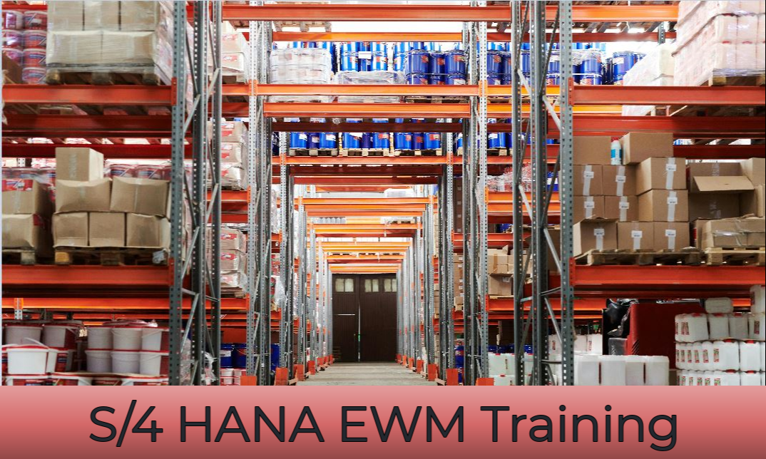 S/4 HANA EWM Training
