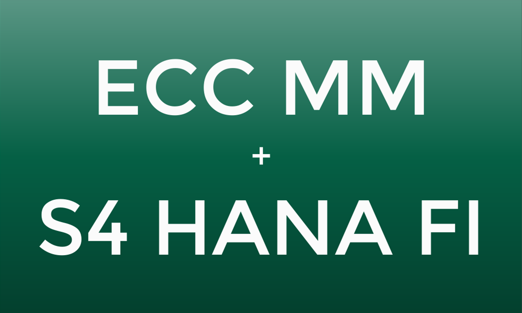 ECC MM + S/4 HANA FI