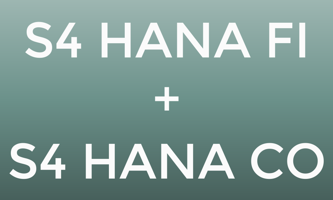 SAP S/4 HANA FI + CO