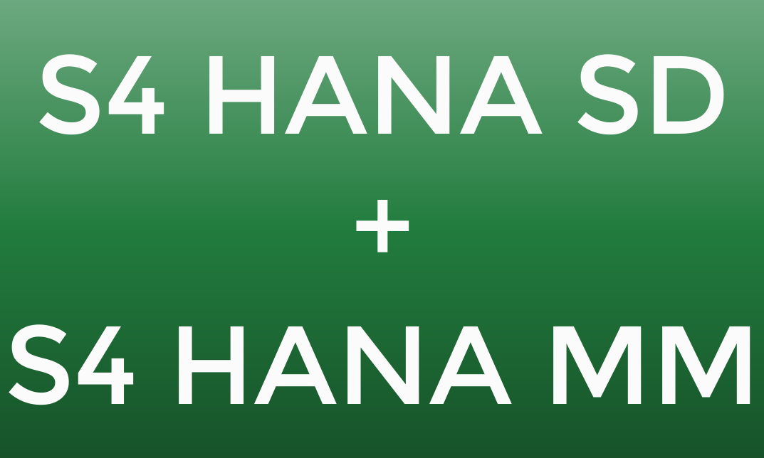 SAP S/4 HANA SD + MM